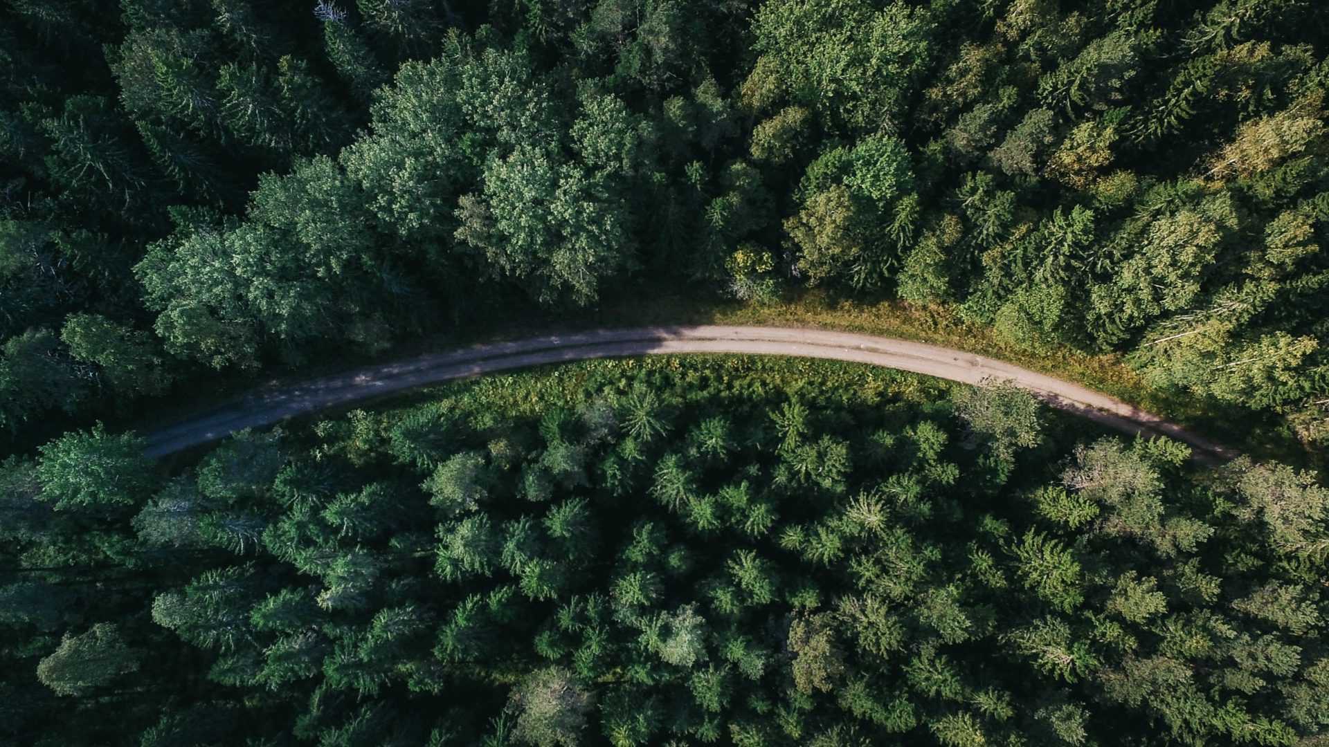 Luftaufnahme eines Waldwegs im Naturpark Balingen, umgeben von dichtem grünen Baumbestand, ideal für Naturerkundungen und Spaziergänge.