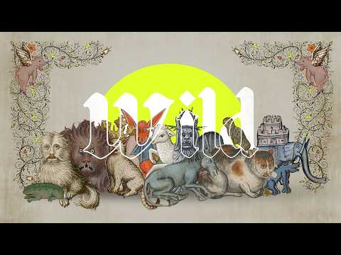 Wild - L'ours - Michaël