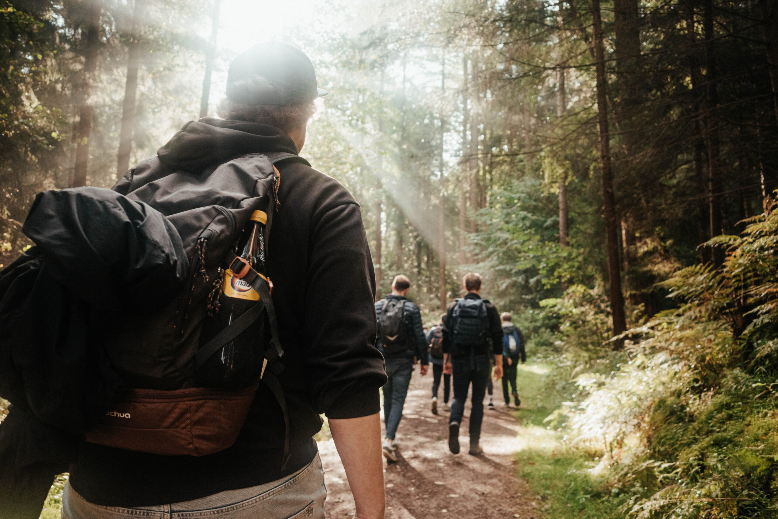 Gruppe von Menschen mit Rucksäcken wandert auf einem Waldweg.