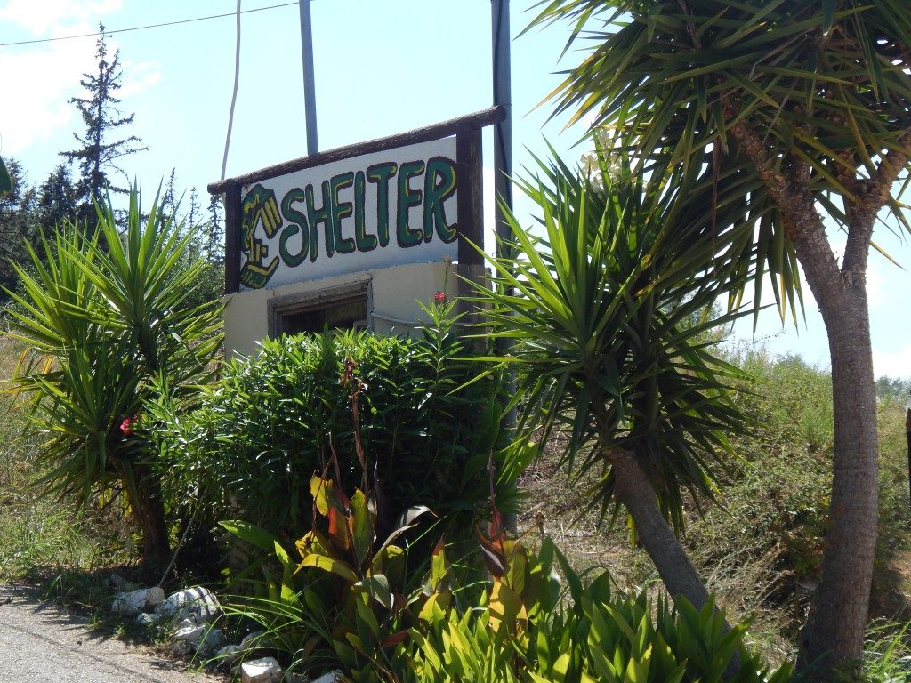 Ein kleines Gebäude mit einem Schild "Shelter" ist von Pflanzen und Bäumen umgeben.