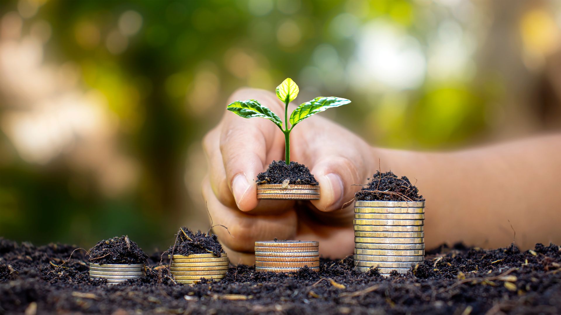 One hand holds a small plant growing on a pile of coins.