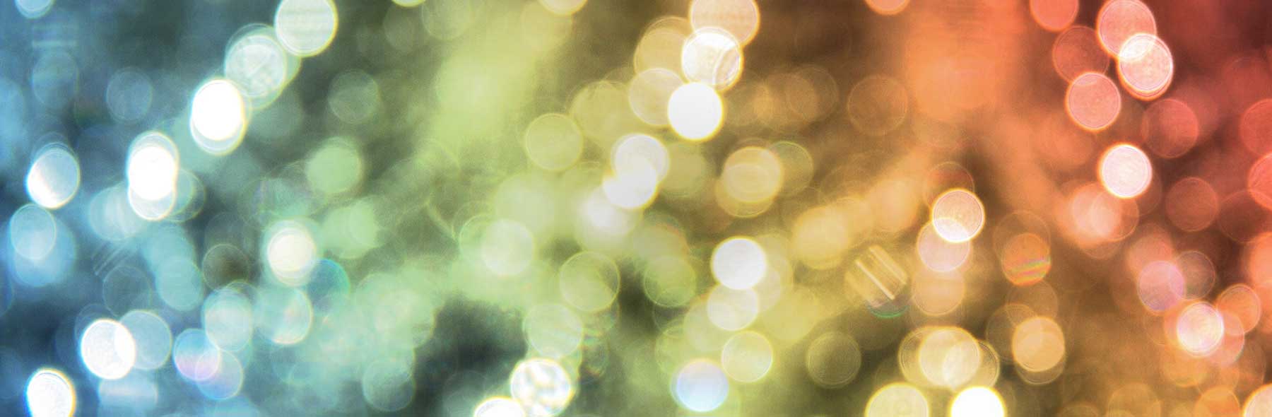 Blumen im Sonnenlicht, bunte Lichter im Hintergrund.