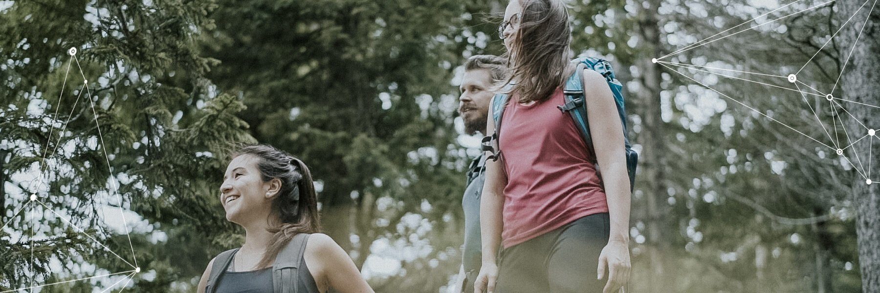 Drei Personen mit Rucksäcken beim Wandern im Wald.
