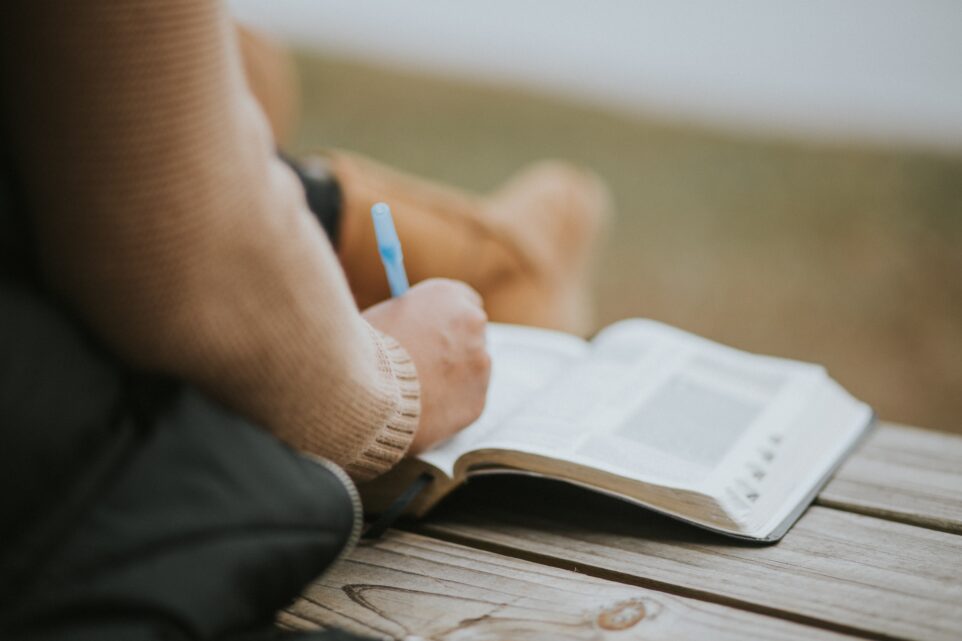 Person liest ein Buch auf einer Holzbank im Freien, hält einen blauen Stift in der Hand.
